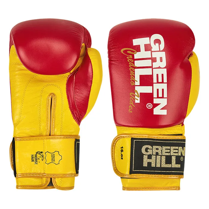 Boxing Gloves ULTRA