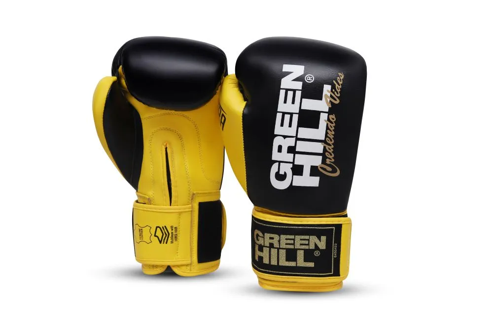 Boxing Gloves ULTRA