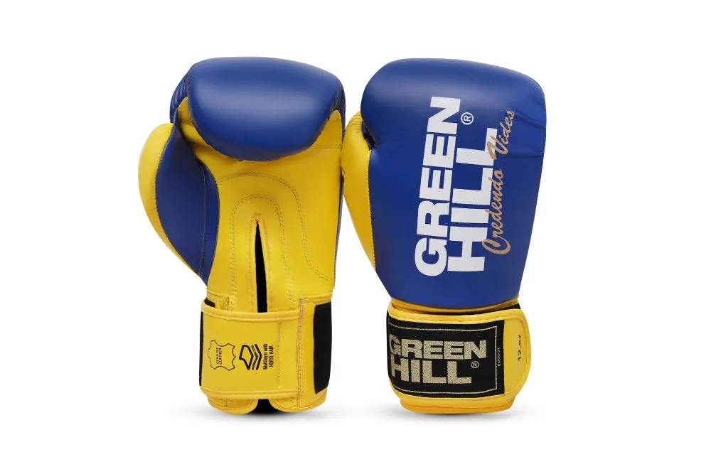 Boxing Gloves ULTRA