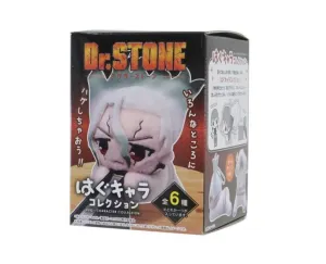 Dr. Stone Hug Character Blind Box