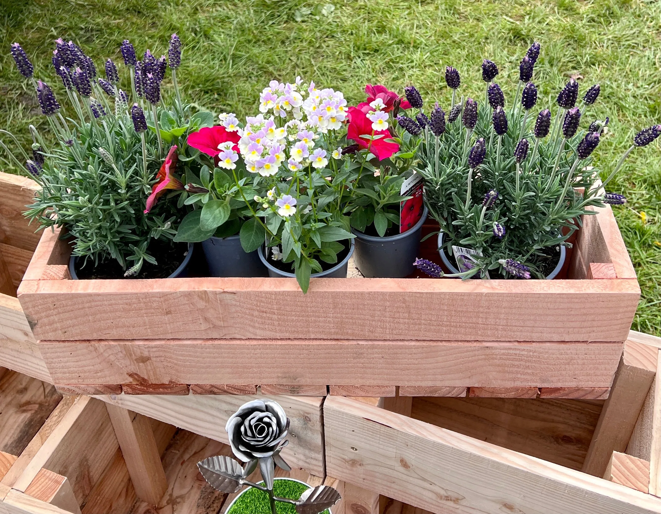 Herb Window Box