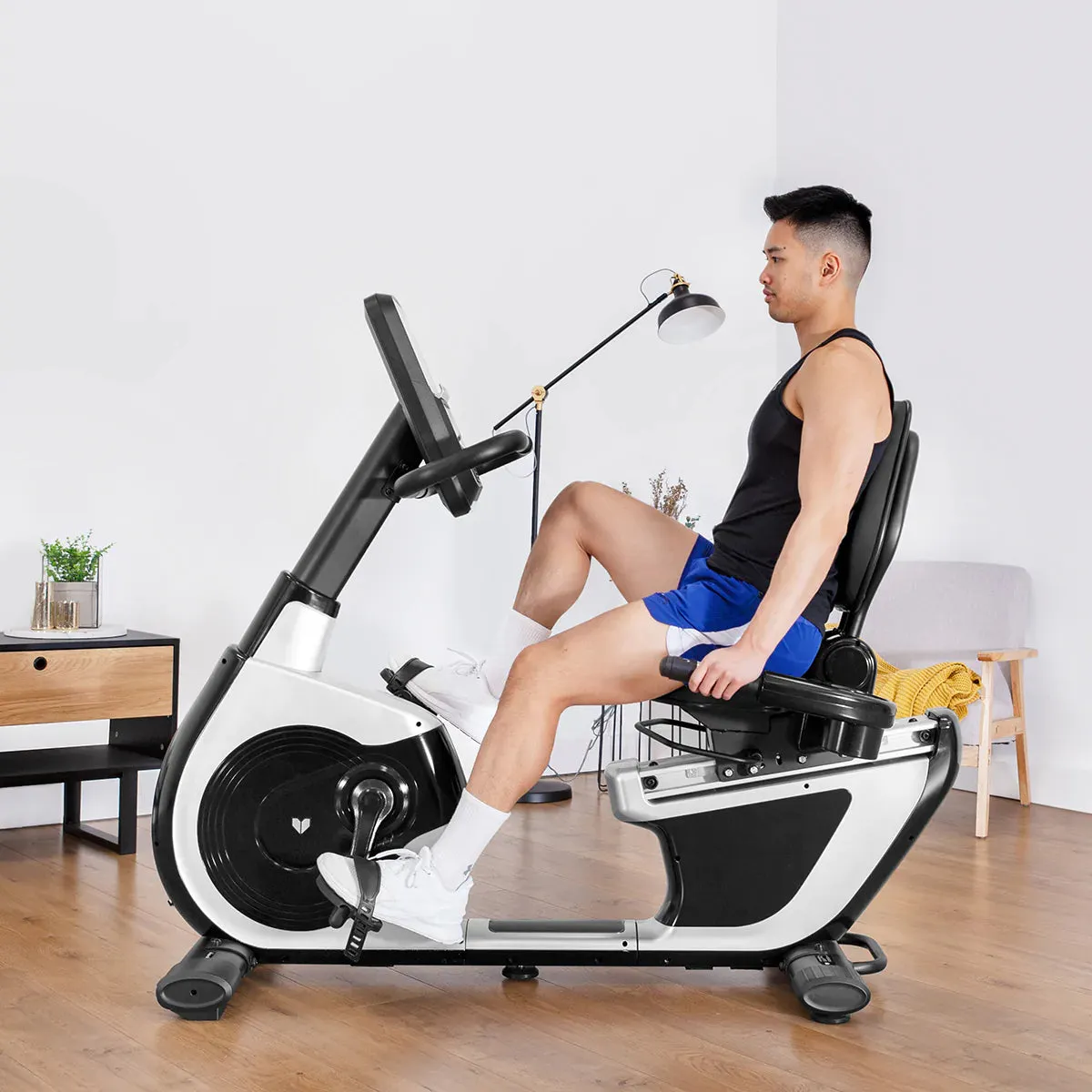 Lifespan Fitness RBX-100 Commerical Recumbent Bike