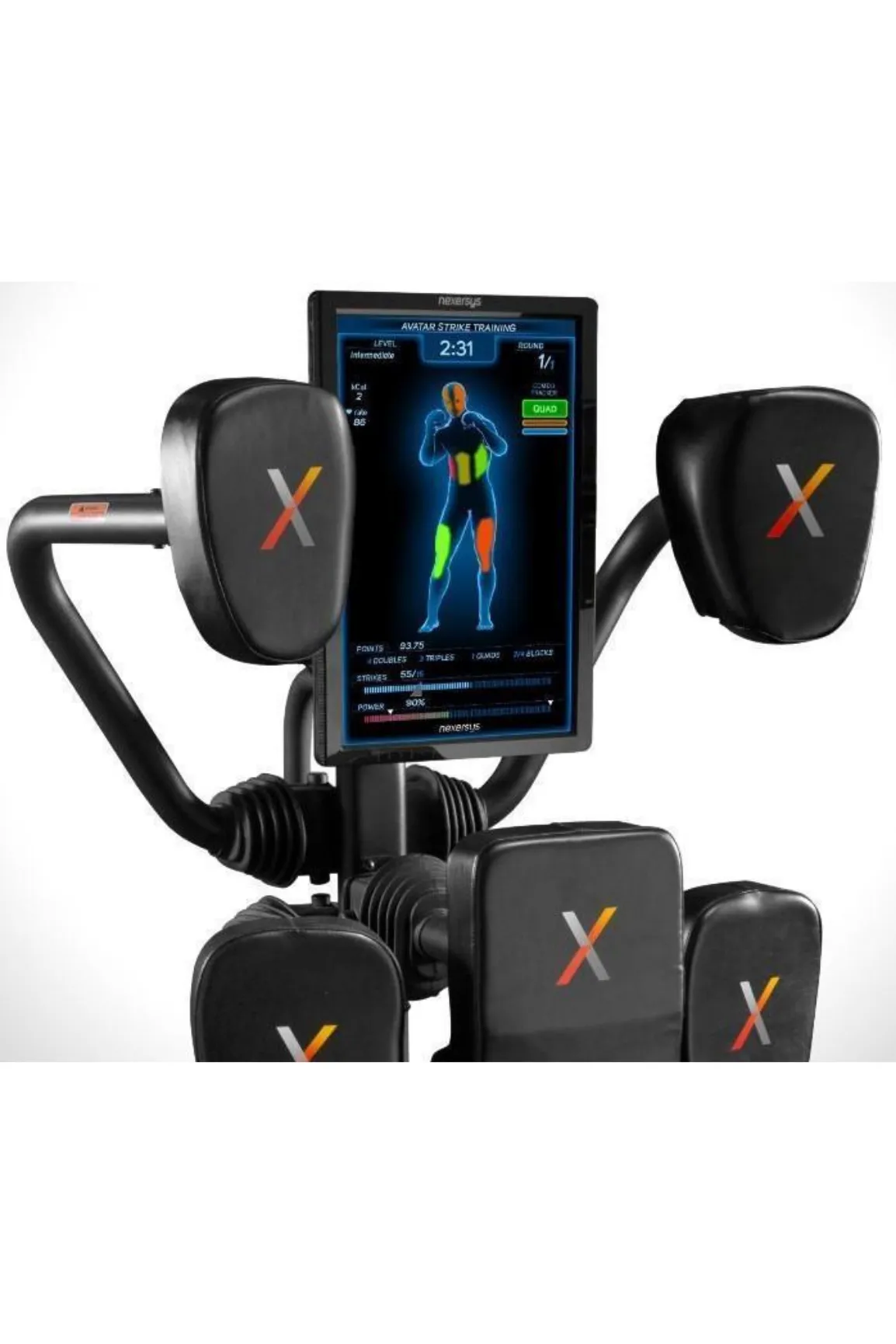 Nexersys Home Boxing System