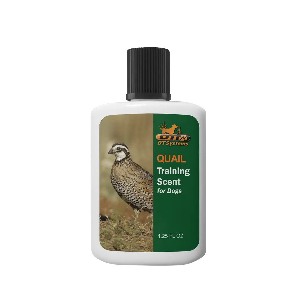 Training Scent, 1.25 oz