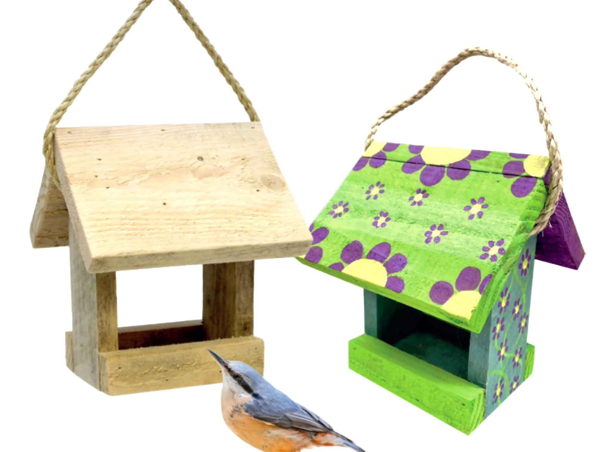 Wild Bird Hanging Feeder Paint your Own Set